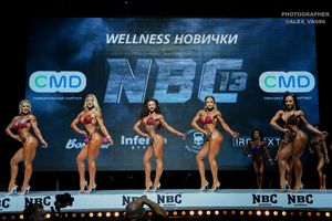 WELLNESS НОВИЧКИ